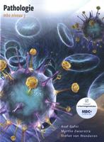 Pathologie / mbo niveau 3 9789083181691 Asaf Gafni, Boeken, Verzenden, Gelezen, Asaf Gafni