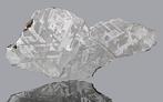 Seymchan meteoriet Plak - 1014 g - (1), Verzamelen, Mineralen en Fossielen