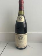 1983 Louis Jadot - Musigny Grand Cru - 1 Bouteille (0,75 l), Verzamelen, Wijnen, Nieuw