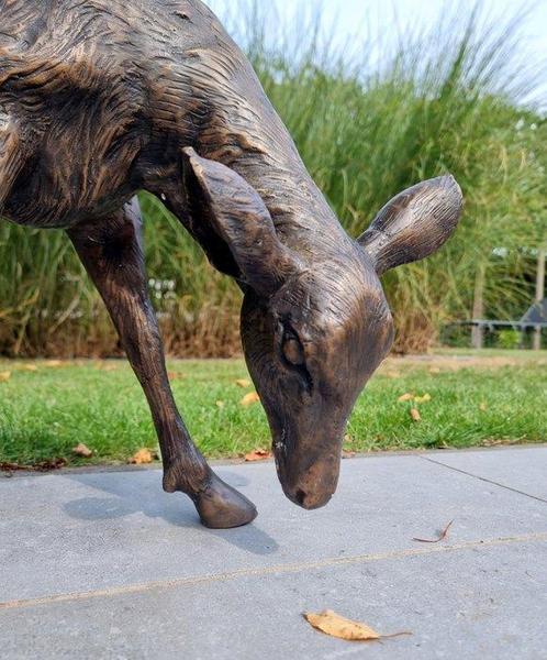 sculptuur, Levensecht hert - 43 cm - Brons, Antiek en Kunst, Curiosa en Brocante