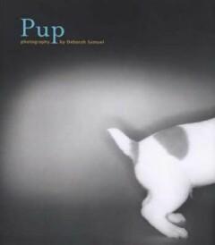 PUP                 GEB 9780811833622 DEBORAH SAMUEL, Boeken, Overige Boeken, Zo goed als nieuw, Verzenden