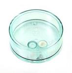 Bewaardoosje (0.06 l) Clear, Verzamelen, Verzenden, Nieuw