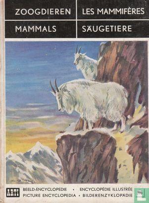 ? - Zoogdieren / Les Mammifères / Mammals / Säugetiere -.., Boeken, Dieren en Huisdieren, Gelezen, Verzenden