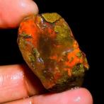 Opaal En bruto de multicolor vuur ¡Heel zeldzaam! 51Ct- 10.2