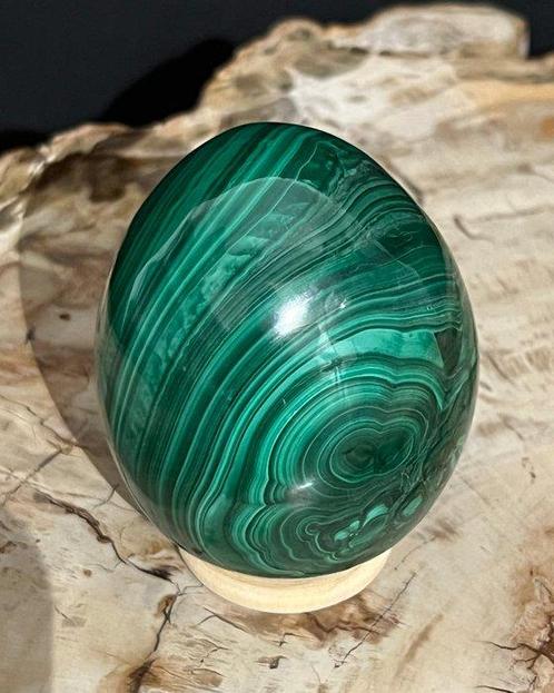 Œuf en Malachite naturelle du Congo de la plus haute qualité, Verzamelen, Mineralen en Fossielen