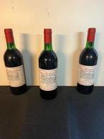 1985 Chateau Moulin de Brion - Médoc - 3 Flessen (0.75, Collections, Vins
