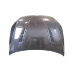 CAPOT VOLKSWAGEN VW GOLF 7 7.5 12-20 CARBONE, Verzenden, Nieuw