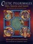 Celtic pilgrimages: sites, seasons and saints : an