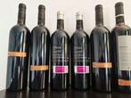 1993 , 1996 Álvaro Palacios, Finca Dofí, 1996 Les Terrasses, Verzamelen, Nieuw