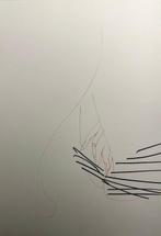 Jan van Oost (1961) - Baudelaire Project