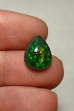 Opaal Negro Fuego Multicolor 3,5 ct - Light Ridge -