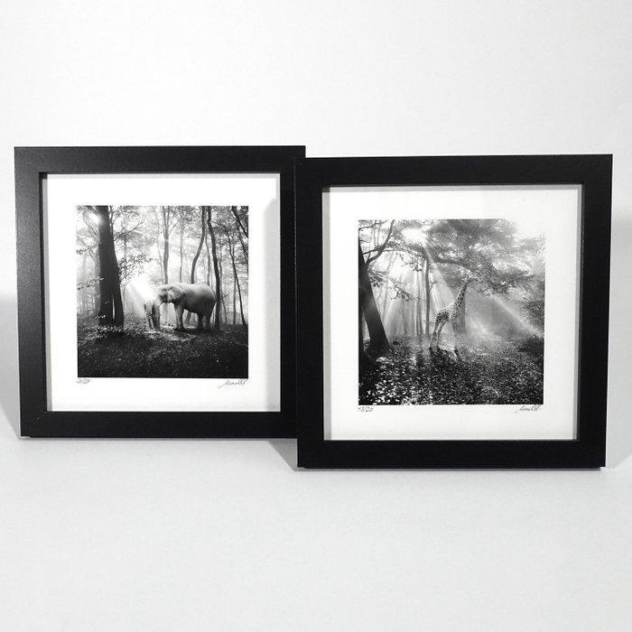 Frank Machalowski - Two framed photographs from the series, Antiek en Kunst, Kunst | Designobjecten