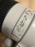 Canon EF 300mm 1:4 L [first gen] Telelens