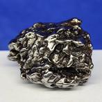 Authentieke ijzeren meteoriet. Sculpturaal CAMPO DEL CIELO