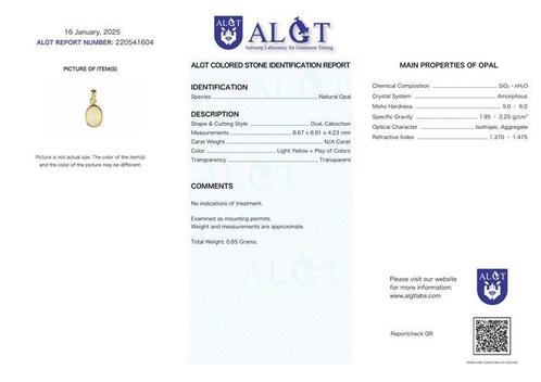 Geen minimumprijs - ALGT-gecertificeerd - Natuurlijke, Verzamelen, Mineralen en Fossielen