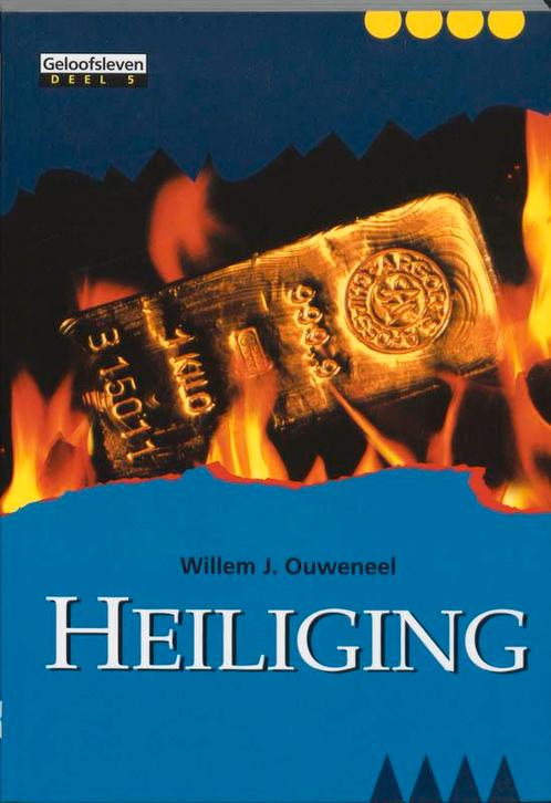 Heiliging gl5 9789063533076, Livres, Religion & Théologie, Envoi
