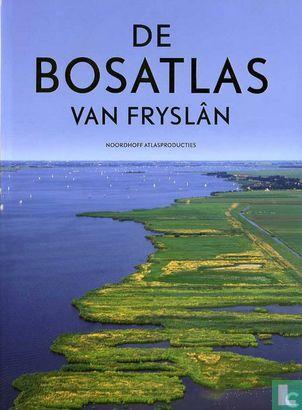 ? - De Bosatlas van Fryslân - 2009, Boeken, Reisverhalen, Europa, Zo goed als nieuw, Verzenden