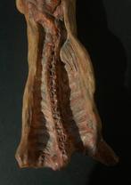 Sculpture, Antico mezzo maiale in terracotta policroma