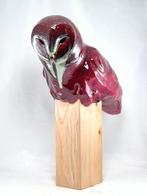 Federico Alibrio - Red Barn owl