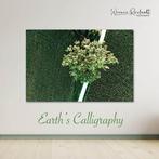 Werner Roelandt - Earths Calligraphy - 003