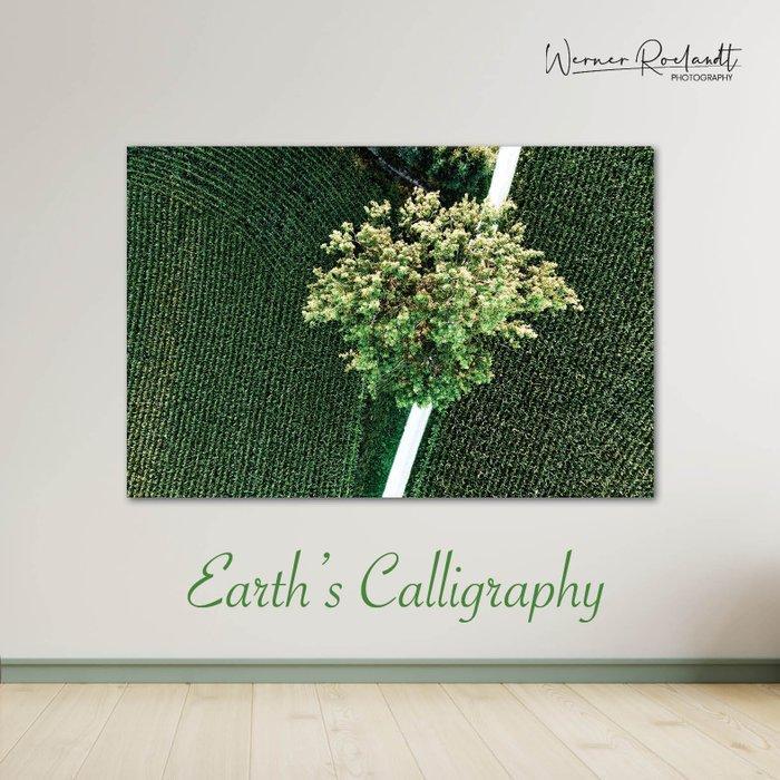 Werner Roelandt - Earths Calligraphy - 003, Antiek en Kunst, Kunst | Designobjecten