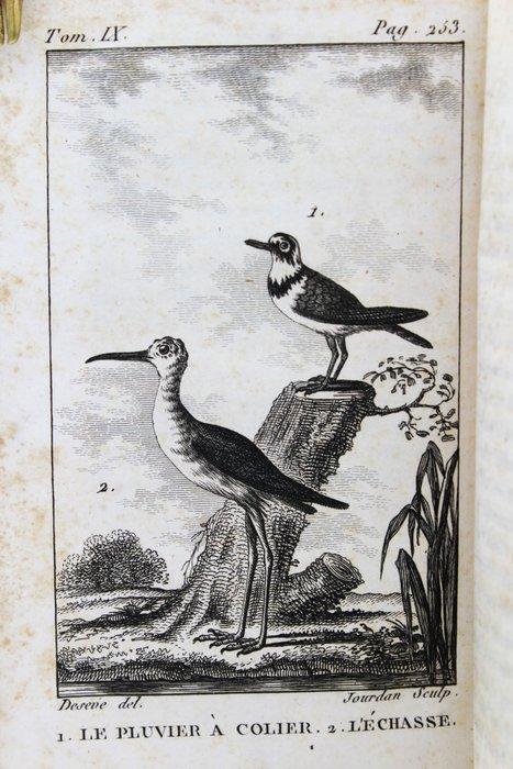 Buffon - Histoire Naturelle De Buffon - 1797, Antiek en Kunst, Antiek | Boeken en Manuscripten