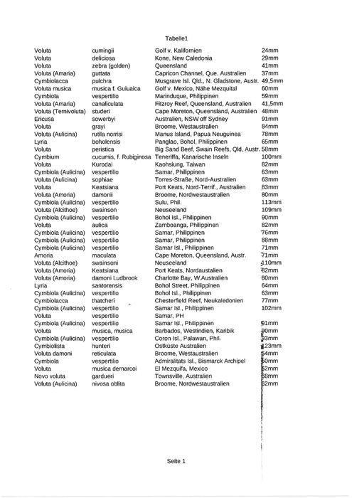 Uitgebreide verzameling walzeschnecken met zeldzaamheden, Verzamelen, Dierenverzamelingen