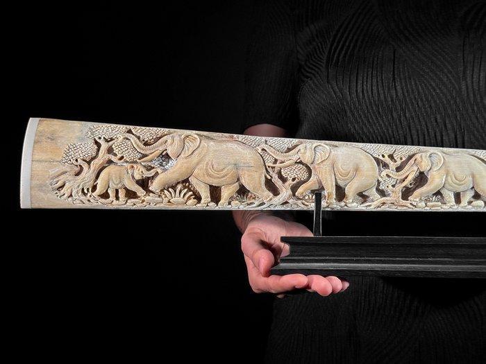 Geen reserveprijs - Extra grote gesneden zeewolfgebit op, Antiek en Kunst, Kunst | Designobjecten