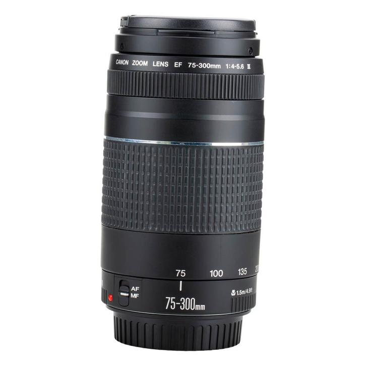 Canon EF 75-300mm F/4-5.6 III met garantie, Audio, Tv en Foto, Foto | Lenzen en Objectieven, Verzenden