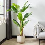 Plante artificielle Lifa Living - bananier - 180 x 100 cm, Maison & Meubles, Verzenden, Neuf