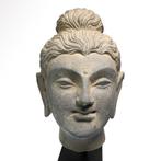 Gandhara Schiste Tête de Bouddha, Antiek en Kunst