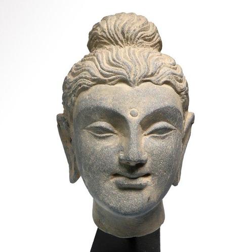 Gandhara Schiste Tête de Bouddha, Antiek en Kunst, Antiek | Overige Antiek