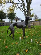 Beeld, Bronze: XL Greyhound Dog - 77 cm - Brons - 2025
