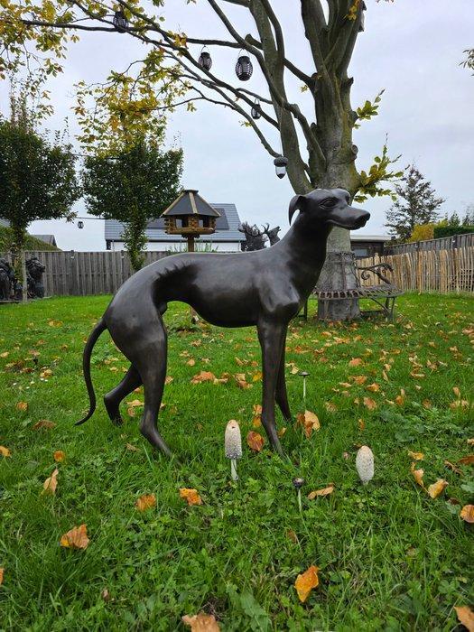 Beeld, Bronze: XL Greyhound Dog - 77 cm - Brons - 2025, Antiek en Kunst, Curiosa en Brocante