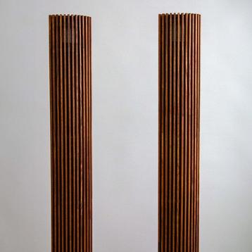 DSA - Covers en bois pour Beolab 6000 Ensemble d’enceintes beschikbaar voor biedingen