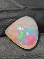 4.25 ct - Natuurlijke edele Welo-opaal, met een intens, Collections