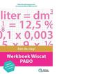 Werkboek Wiscat PABO 9789082792928 Erasmus Education, Verzenden, Zo goed als nieuw, Erasmus Education