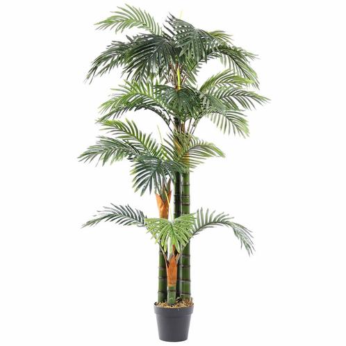 Kunstplant | FLORIDA PALM | Groen | Indoor | 1650(h)mm HC, Zakelijke goederen, Horeca | Keukenapparatuur, Nieuw in verpakking