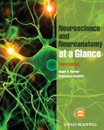 Neuroanatomy and Neuroscience at a Glance 9780470657683, Boeken, Verzenden, Gelezen, Francesca Cicchetti