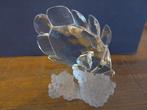 Swarovski - Beeldje - Butterfly Fish -on coral - 162888 -