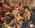 Harry Potter - Miriam Margolyes (Professor Sprout) -, Nieuw
