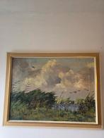 Jo Schrijnder (1894-1968) - Overvliegende eenden over water, Antiek en Kunst, Kunst | Schilderijen | Klassiek