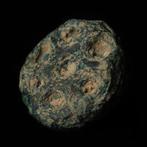 West-Aziatisch Brons Rosette (Zonder Minimumprijs)