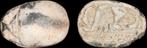 Egypte Stone Scarab Hyksos period, c. 1750 - 1570 BC, Postzegels en Munten
