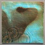 Pink Floyd - Meddle / Animals (First Dutch Pressings!) - LP