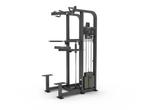 P11 | Gymfit Assist Chin / Dip | Custom-Line Plus, Sport en Fitness, Fitnessmaterialen, Verzenden, Nieuw, Overige typen