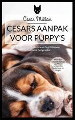 Cesars aanpak voor puppys, Nieuw, Nederlands, Verzenden
