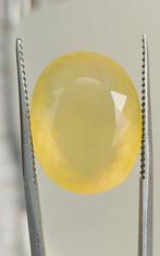 Opale de feu  - 18.06 ct - Antwerp Laboratory for Gemstone, Nieuw