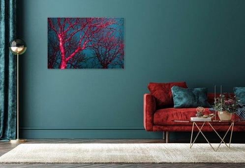 Jorge Omeñaca - Coral tree, Antiek en Kunst, Kunst | Schilderijen | Modern