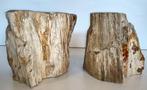 sculptuur, sculpture - 0 cm - Versteend hout